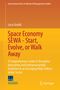 Luca Giraldi: Space Economy SEWA - Start, Evolve, or Walk Away, Buch