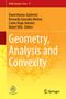 Geometry, Analysis and Convexity, Buch