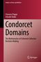 "Condorcet Domains: The Mathematics of Coherent Collective Decision-Making" von Clemens Puppe und Arkadii Slinko., Buch