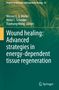 Titel: "Wound healing: Advanced strategies in energy-dependent tissue regeneration". Grüner Hintergrund mit Springer-Logo., Buch