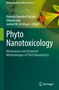 "Phyto Nanotoxicology" ist der Titel. Es erscheint ein grünes Muster. Links steht "Springer"., Buch