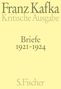 Franz Kafka: Briefe 1921-1924, Buch