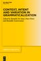 Context, Intent and Variation in Grammaticalization, Buch