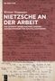 Werner Stegmaier: Nietzsche an der Arbeit, Buch