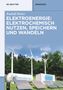 Rudolf Holze: Elektroenergie: Elektrochemisch nutzen, speichern und wandeln, Buch