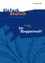 Herrmann Hesse: Der Steppenwolf. EinFach Deutsch Unterrichtsmodelle, Buch