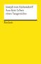 Joseph Von Eichendorff: Aus dem Leben eines Taugenichts, Buch, Buch