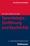 Hans-Werner Wahl: Gerontologie - Einführung und Geschichte, Buch