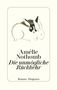 Amélie Nothomb: Die unmögliche Rückkehr, Buch