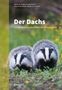 Der Dachs - Ein Wildtier erobert den Siedlungsraum. Zwei Dachse in einer grünen Wiese mit gelben Blüten., Buch