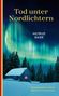 Hiltrud Baier: Tod unter Nordlichtern, Buch