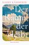 "Harry Kämmerer. Der Raum, der bleibt. Roman. Nagel und Kimche." Eindrucksvolle Landschaft mit Bergen und Tal.