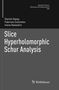 Daniel Alpay: Slice Hyperholomorphic Schur Analysis, Buch