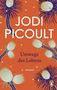 Jodi Picoult: Umwege des Lebens, Buch