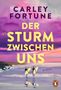 Titel: "Der Sturm zwischen uns" von Carley Fortune; Zwei Personen mit Surfbrettern am Strand bei Sonnenuntergang., Buch