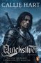Callie Hart, Quicksilver, Roman, Tochter des Silbers, Gefangener der Schatten. Ein Ritter vor schneebedeckter Kulisse., Buch
