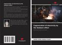 Hama Hima Abdoul Kadri: Cogeneration of electricity by the Seebeck effect, Buch