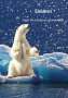 Charlotte Meis: Eisbären - Jäger im arktischen Wunderland, Buch