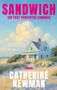 "SANDWICH, ein fast perfekter Sommer. Roman von Catherine Newman." Ein blaues Haus vor einem sonnigen, strahlenden Himmel.