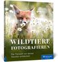 Titel: "WILDTIERE FOTOGRAFIEREN" – Fuchs in Blumenwiese, Logo rechts unten.