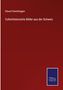 Eduard Osenbrüggen: Culturhistorische Bilder aus der Schweiz, Buch