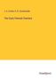 J. A. Crowe: The Early Flemish Painters, Buch