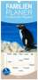 Hans-Gerhard Pfaff: Familienplaner 2024 - Im Reich der Pinguine mit 5 Spalten (Wandkalender, 21 x 45 cm) CALVENDO, Kalender