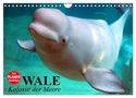 Elisabeth Stanzer: Wale. Kolosse der Meere (Wandkalender 2024 DIN A4 quer), CALVENDO Monatskalender, Kalender