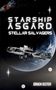 Jürgen Sester: Starship Asgard, Buch