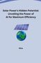 Nina: Solar Power's Hidden Potential: Unveiling the Power of AI for Maximum Efficiency, Buch