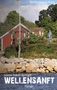 Ein Karlshamn-Krimi, Ivonne Isabell Springer, WELLENSANFT, Roman. Haus am Wasser mit Fahnenmast und Statue, umgeben von Bäumen., Buch