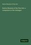 Boston Museum of Fine Arts: Boston Museum of the Fine Arts: a companion to the catalogue, Buch