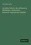 Carl Herlosssohn: Der letzte Taborit; oder, Böhmen im fünfzehnten Jahrhundert; historisch-romantisches Gemälde, Buch
