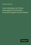 Sebastian Brunner: Unter Lebendigen und Todten: Spaziergänge in Deutschland, Frankreich, England und der Schweiz, Buch