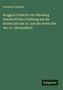 Ferdinand Schmidt: Burggraf Friedrich von Nürnberg Geschichtliche Erzählung aus der letzten Zeit des 14. und der ersten Zeit des 15. Jahrhunderts, Buch