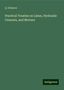 Q. Gillmore: Practical Treatise on Limes, Hydraulic Cements, and Mortars, Buch