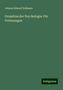 Johann Eduard Erdmann: Grundriss der Psychologie: Für Vorlesungen, Buch