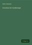 Isidor Cohnstein: Grundriss der Gynäkologie, Buch