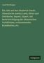 Josef Bechtinger: Ein Jahr auf den Sandwich-Inseln (Hawaiische Inseln): Land, Sitten und Gebräuche, Import, Export, mit Berücksichtigung der klimatischen Verhältnisse, vorkommenden Krankheiten, etc., Buch, Buch