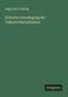 Eugen Karl Dühring: Kritische Grundlegung der Volkswirthschaftslehre, Buch