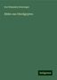 Karl Benjamin Klunzinger: Klunzinger, K: Bilder aus Oberägypten, Buch