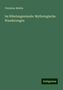 Christian Mehlis: Im Nibelungenlande: Mythologische Wanderungen, Buch