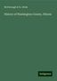 McDonough Brink & Co.: History of Washington County, Illinois, Buch