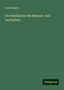 Josef Bersch: Bersch, J: Fabrikation der Mineral- und Lackfarben, Buch