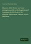 Jacob Da Silva Solis Cohen: Diseases of the throat and nasal passages; a guide to the diagnosis and treatment of affections of the pharynx, ¿sophagus, trachea, larynx, and nares, Buch