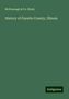 McDonough Brink & Co.: History of Fayette County, Illinois, Buch