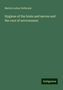 Martin Luther Holbrook: Holbrook, M: Hygiene of the brain and nerves and the cure of, Buch