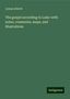 Lyman Abbott: The gospel according to Luke: with notes, comments, maps, and illustrations, Buch