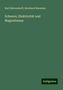 Karl Hattendorff: Schwere, Elektricität und Magnetismus, Buch