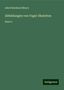 Adolf Bernhard Meyer: Meyer, A: Abbildungen von Vogel-Skeletten, Buch